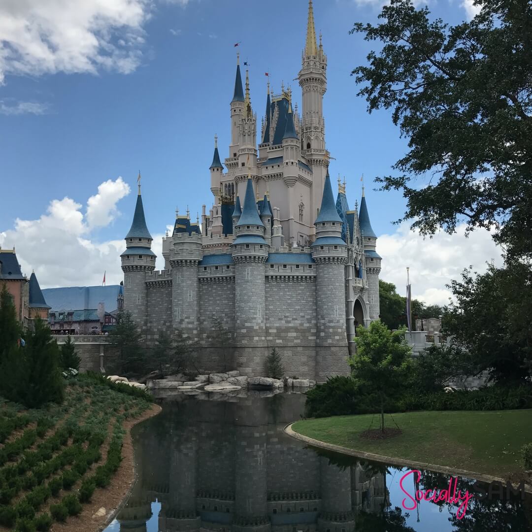 Disney 4 (1)