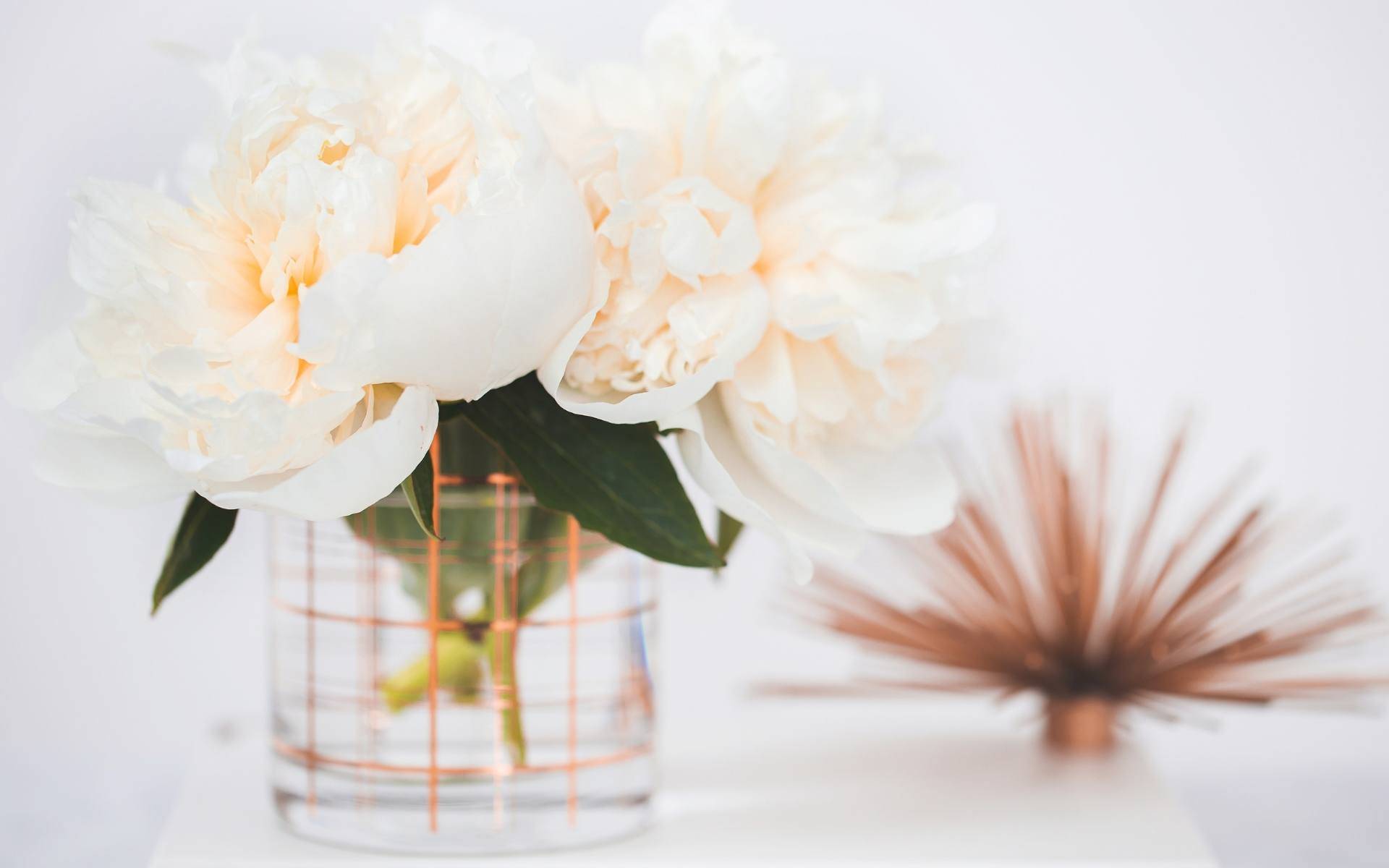 Dating someone that just got out of a relationship